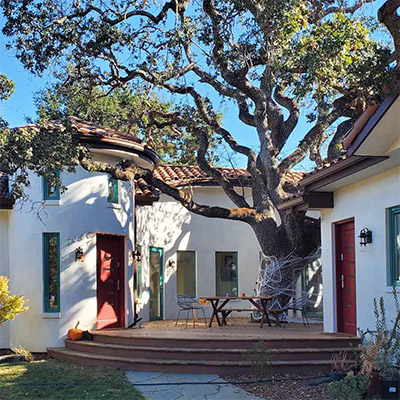 Entrance Deck with preserved Oak Tree