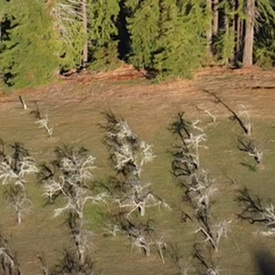 Drone photo of site